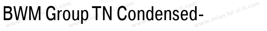 BWM Group TN Condensed字体转换